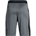 Shorts - Image 2